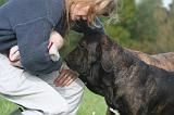 ADULTE ET CHIEN 496